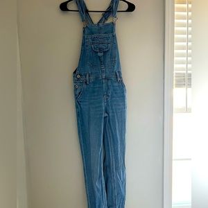 American Eagle Overalls